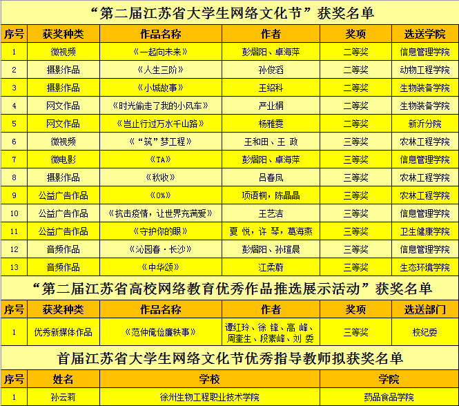 我校在第二届江苏省大学生网络文化节和高校网络教育优秀作品推选展示活动中斩获佳绩